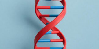 DNA-Based Skincare Revealed: Unveiling the Science and Benefits DNA-Based Skincare Revealed: Unveiling the Science and Benefits