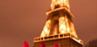 French Lipstick Tricks: Your Affordable Guide to Effortless Chic French Lipstick Tricks- Your Affordable Guide to Effortless Chic