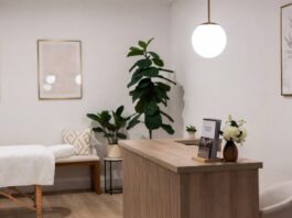 Aesthetic Wellness Trend Is Redefining Beauty and Self-Care