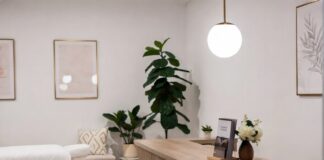 Aesthetic Wellness Trend Is Redefining Beauty and Self-Care