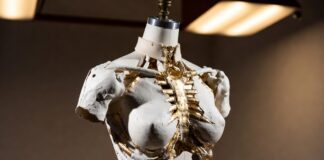Schiaparelli’s Anatomical Fashion: Explained Three-dimensional gold torso couture piece on a dress form representing Schiaparelli anatomical fashion and the house's body-as-canvas design philosophy as explained by Runway Magazine
